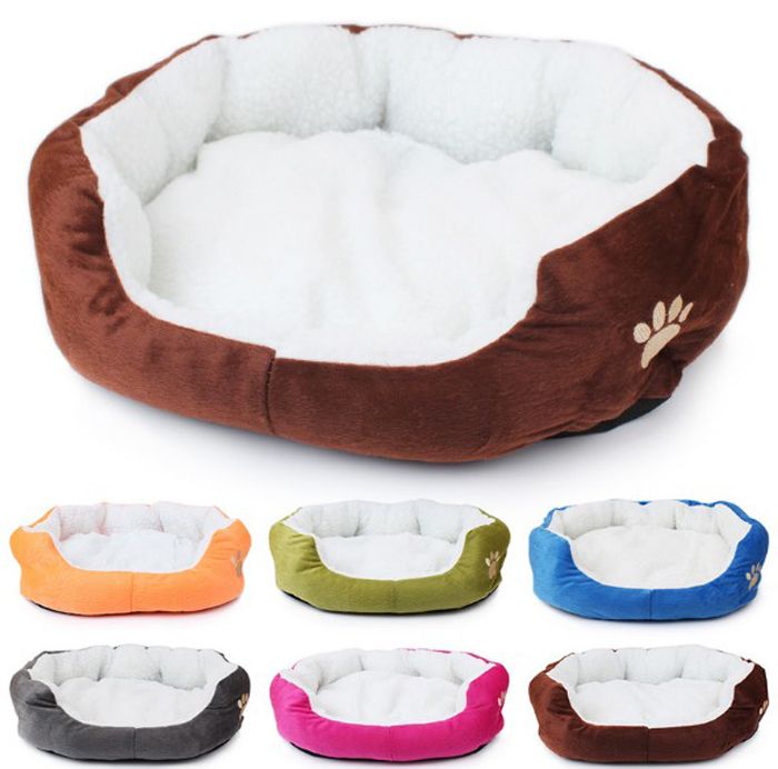 colorful dog beds