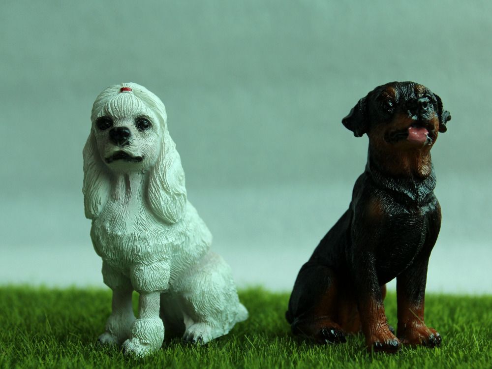 faerie garden chihuahuas