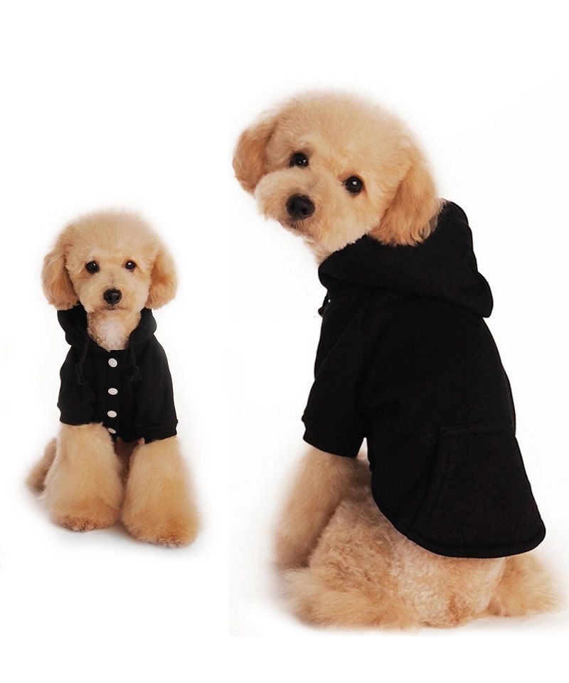 Aliado Bronceado Hueso Ropa para perros pequeños Sudaderas con capucha para perros Hkim Ropa de  caniche para mascotas de