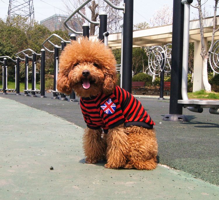 Cheap Dog Clothes For Small Dogs Shirt Pet Supplies United Kingdom National Flag Striped Dog T- Cheap Dog Clothes For Small Dogs Shirt Pet Supplies United Kingdom National Flag Striped Dog T-