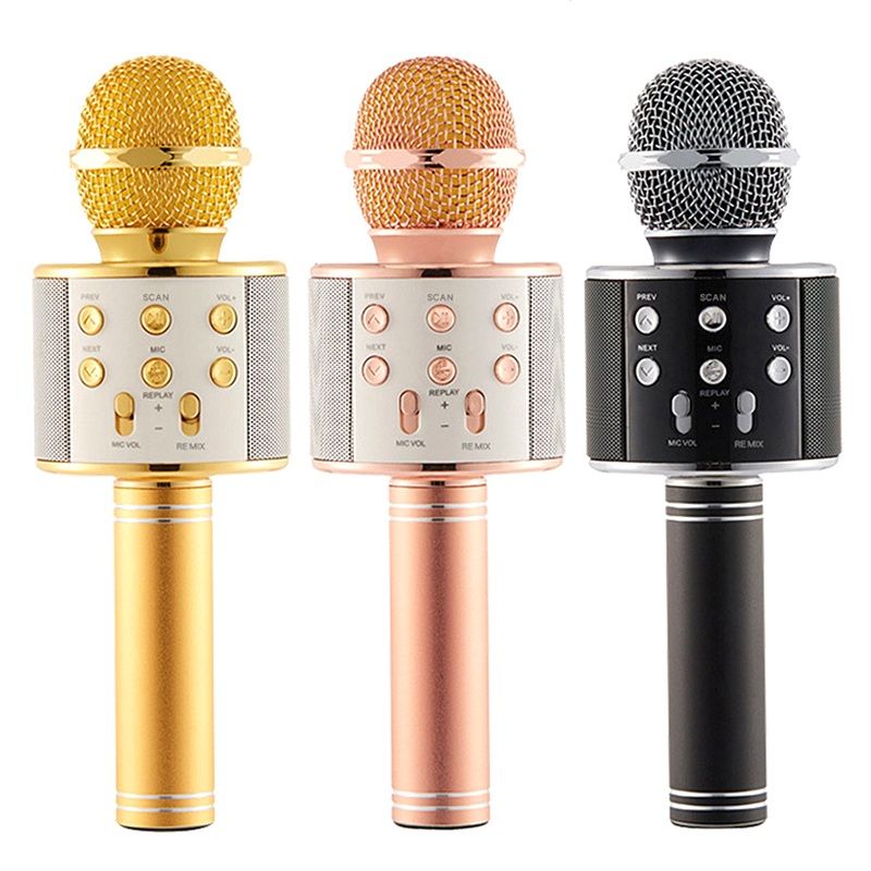speaker mic portable