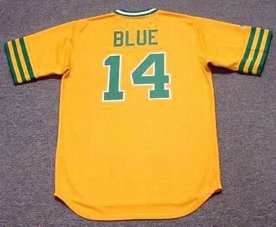 14 Vida Blue