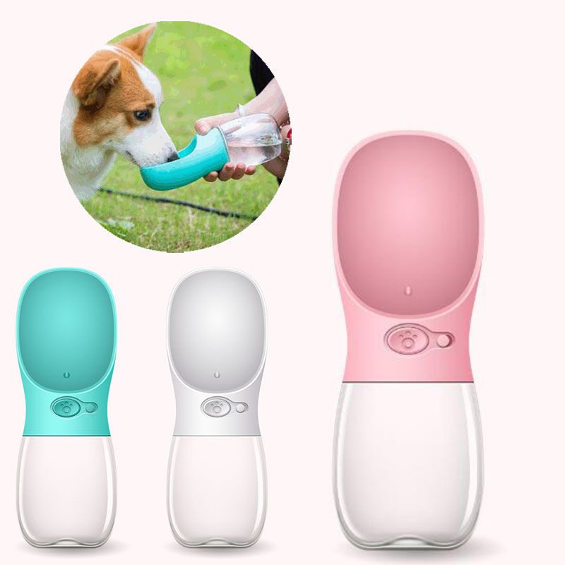 portable dog water bottle