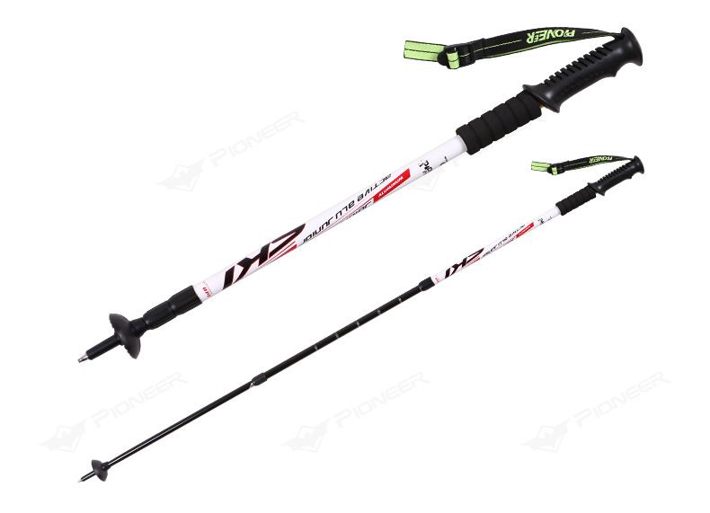 shock absorbing trekking pole