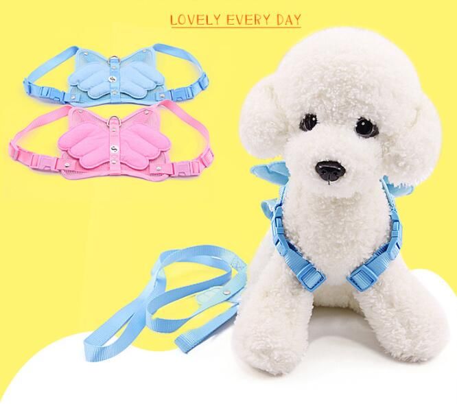 dog apparel wholesale