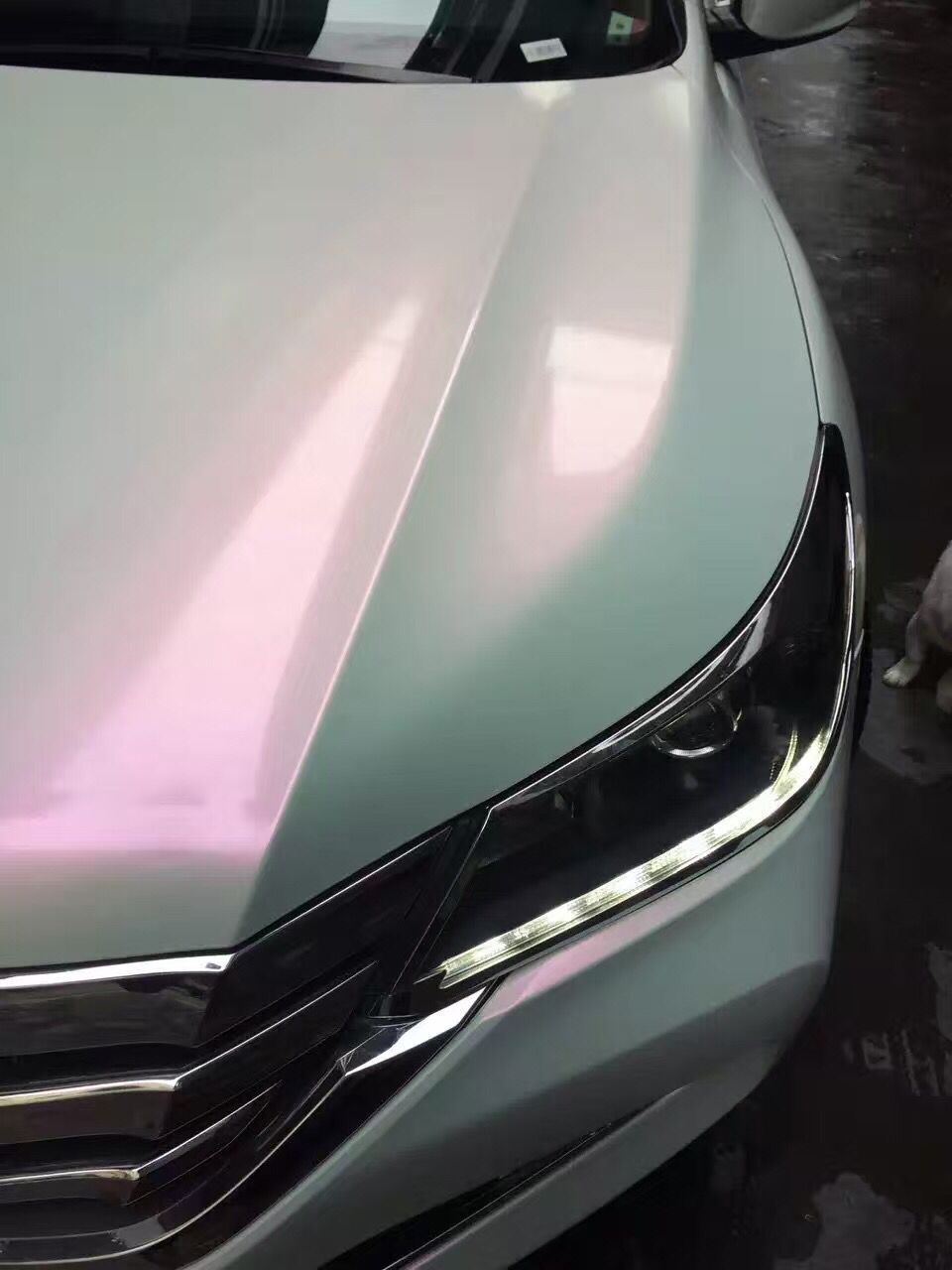 White Pearl Gloss пленка