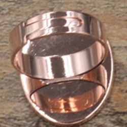 Rose Gold 10x14 MM leer