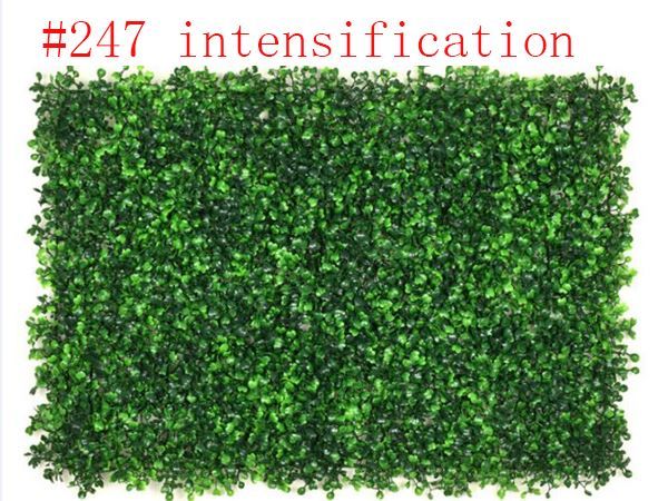 # 247 intensification