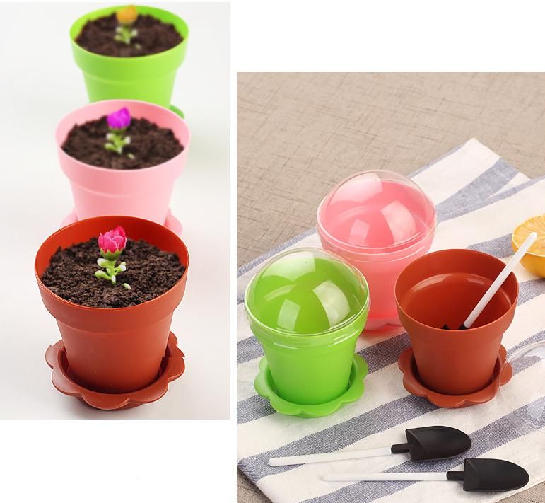 Acheter Pas Cher Flower Pot Gateau Tasses Cuillere Ensemble De Creme Glacee Ecoration Pour Le Mariage Des Enfants Fete Danniversaire Fournitures De Patisserie Outils De Patisserie Sn1365 Du 0 67 Fr Dhgate