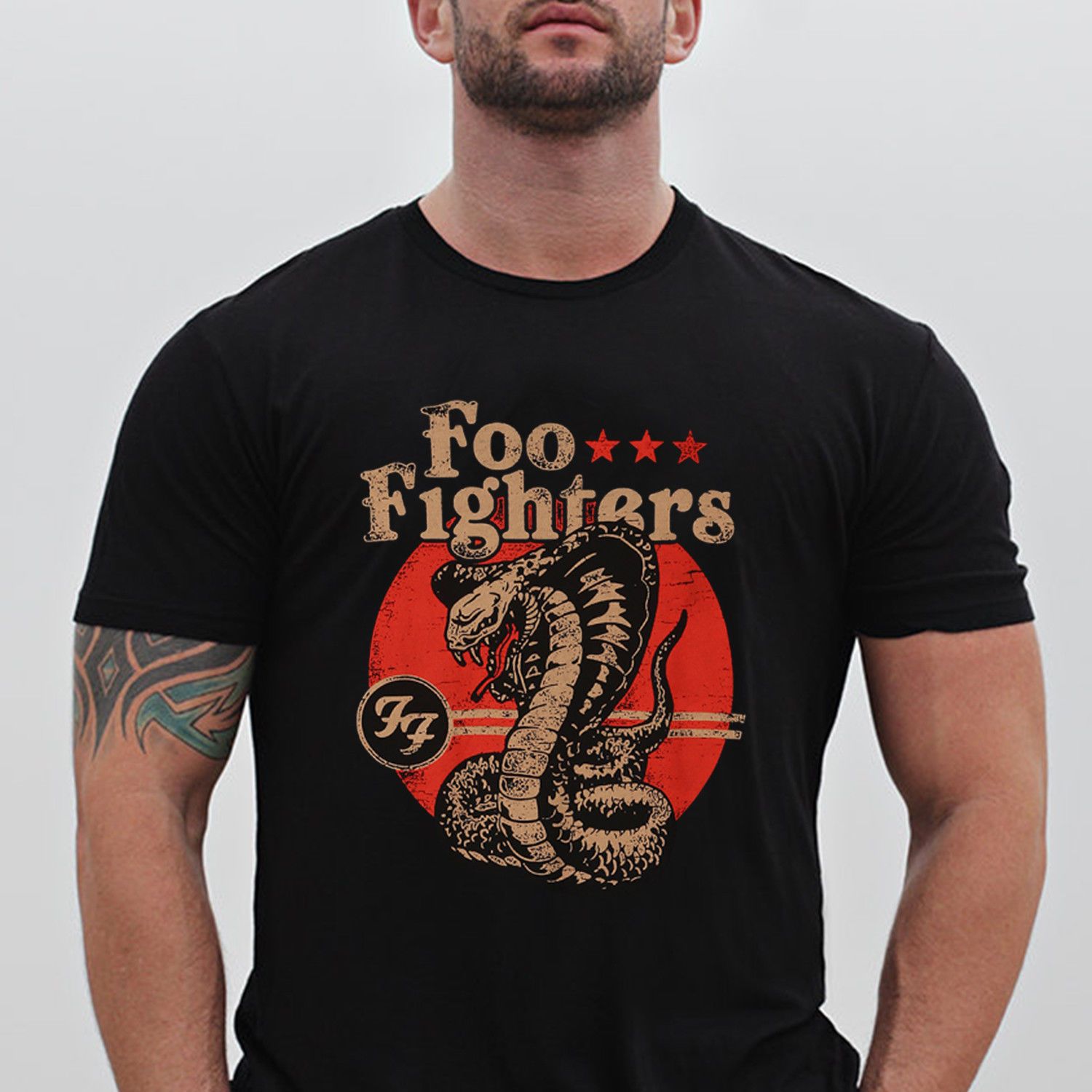 Купить Официальный Foo Истребители 