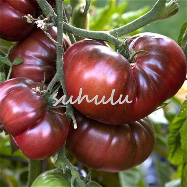 200Pcs Cherry Tomato Seeds Organic For Garden Home Vegetable Seed