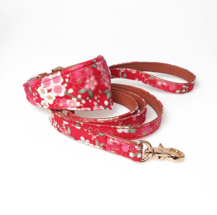 puppy collar leash