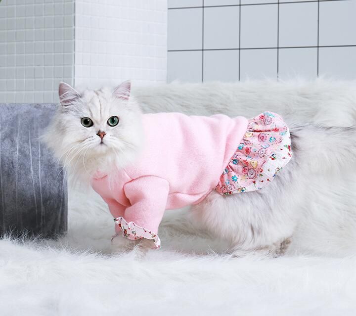 L,Cat Clothes,Sweater,Cute Female Care Clothing,Autumn And Winter Warm Cat  Clothes Spot Wholesale From Supplierpro, $92.27