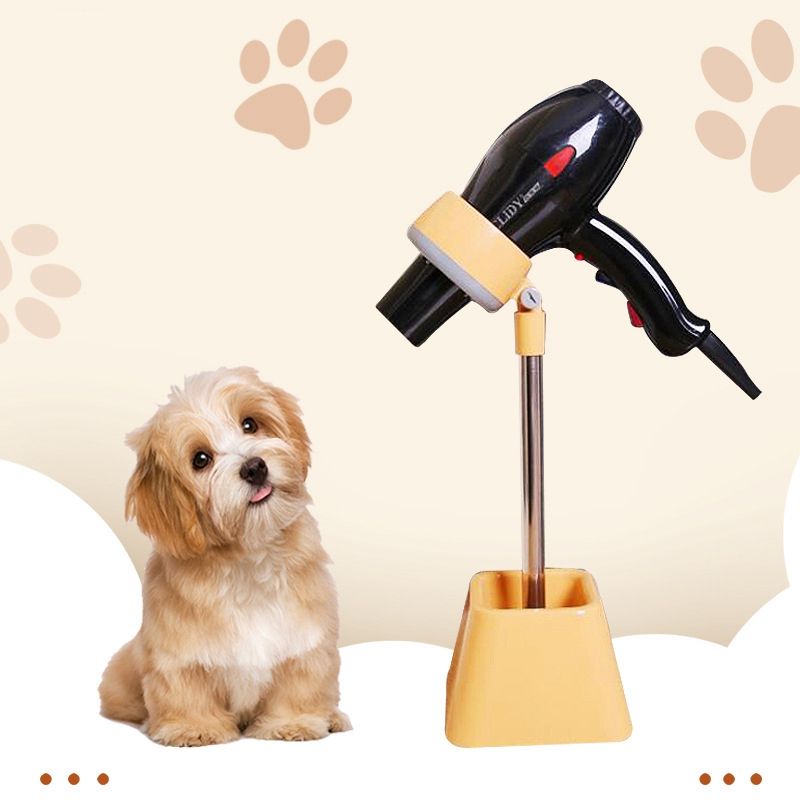 pet dog accessories shop