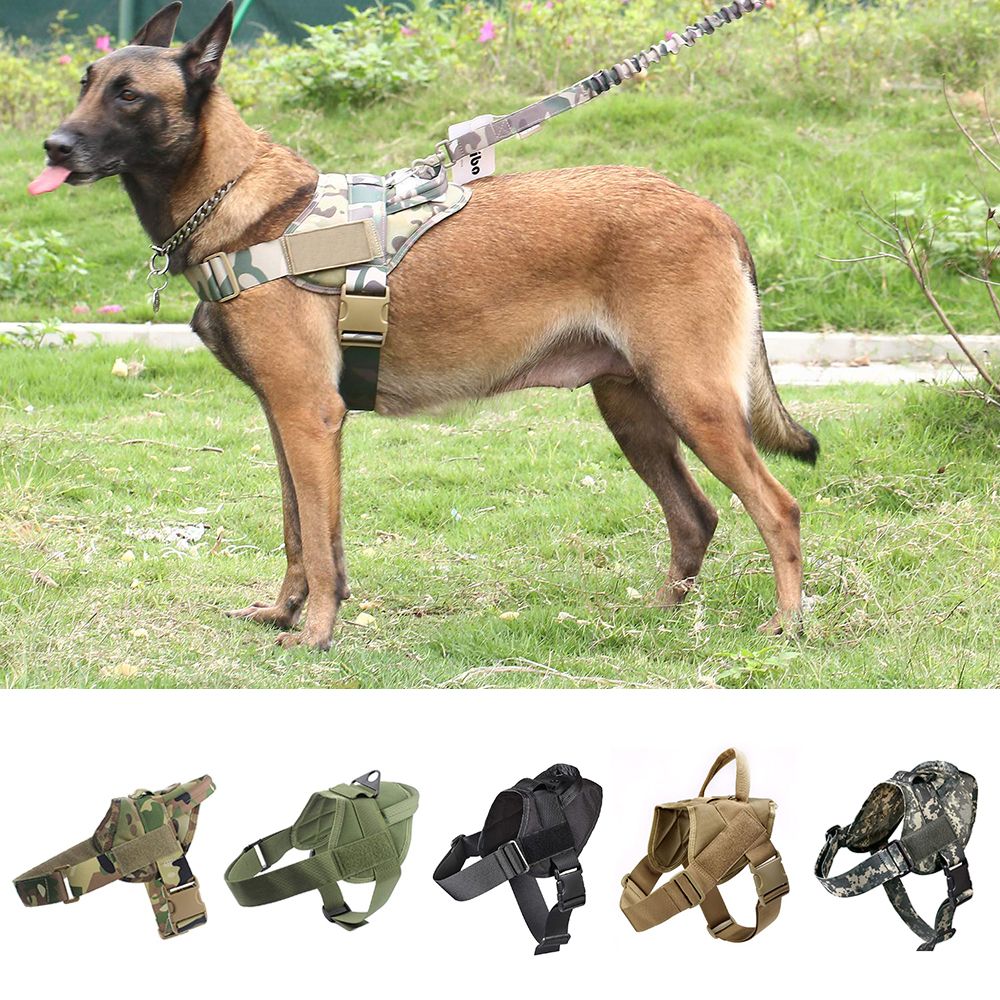 Kol Dropshing Hizmeti Ile Taktik Kopek Harness Askeri Karakol K9 Calisma Kopek Yaka Harness Servis Kopek Yelek En Iyi Cevrimici Alisveris Dhgate Com Kol Dropshing Hizmeti Ile Taktik Kopek Harness Askeri Karakol K9 Calisma Kopek Yaka Harness Servis Kopek Yelek En Iyi Cevrimici Alisveris Dhgate Com