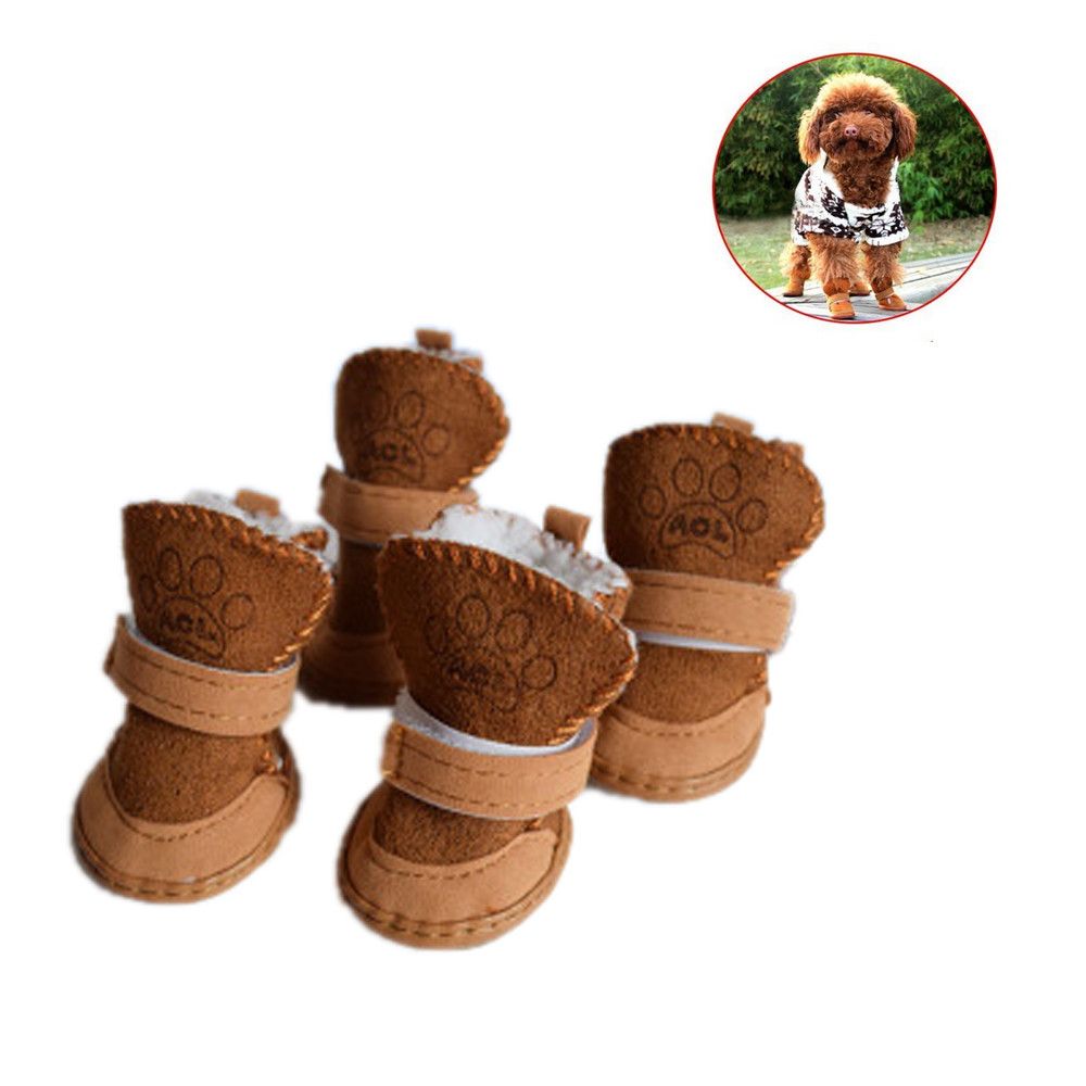 cute shoes for dogs