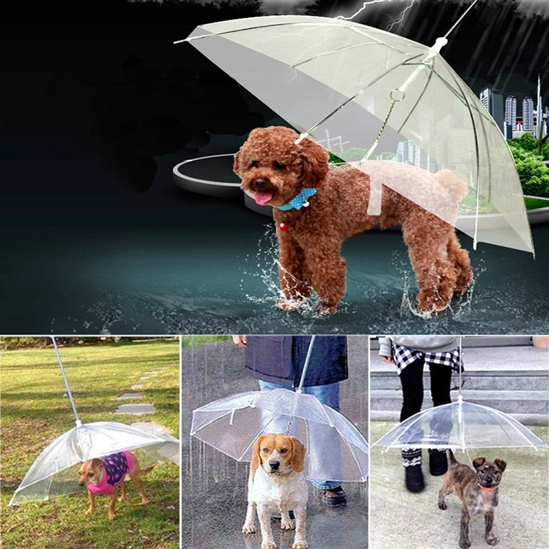 PE transparente para mascotas paraguas cachorro paraguas de lluvia de engranajes Correas