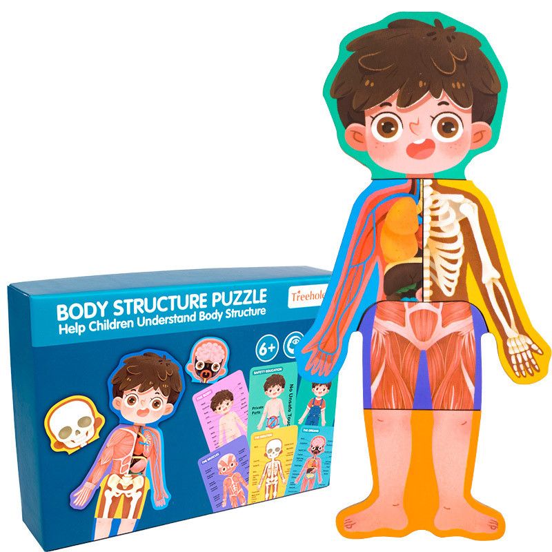 rompecabezas cuerpo humano niños