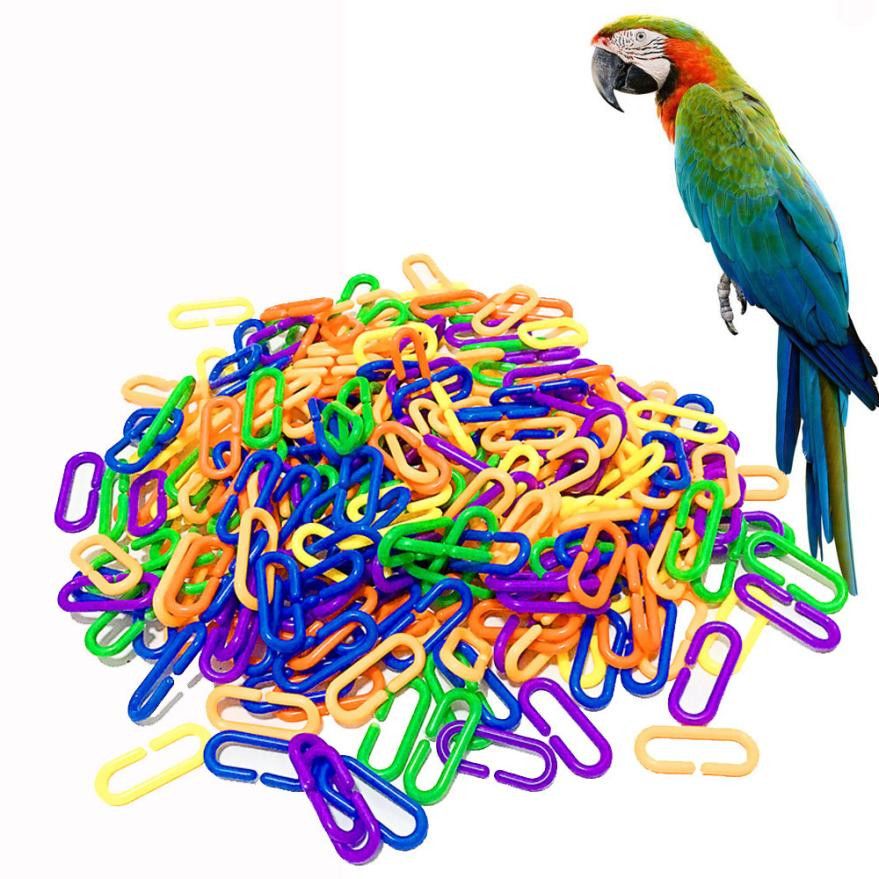 bird toys for rats