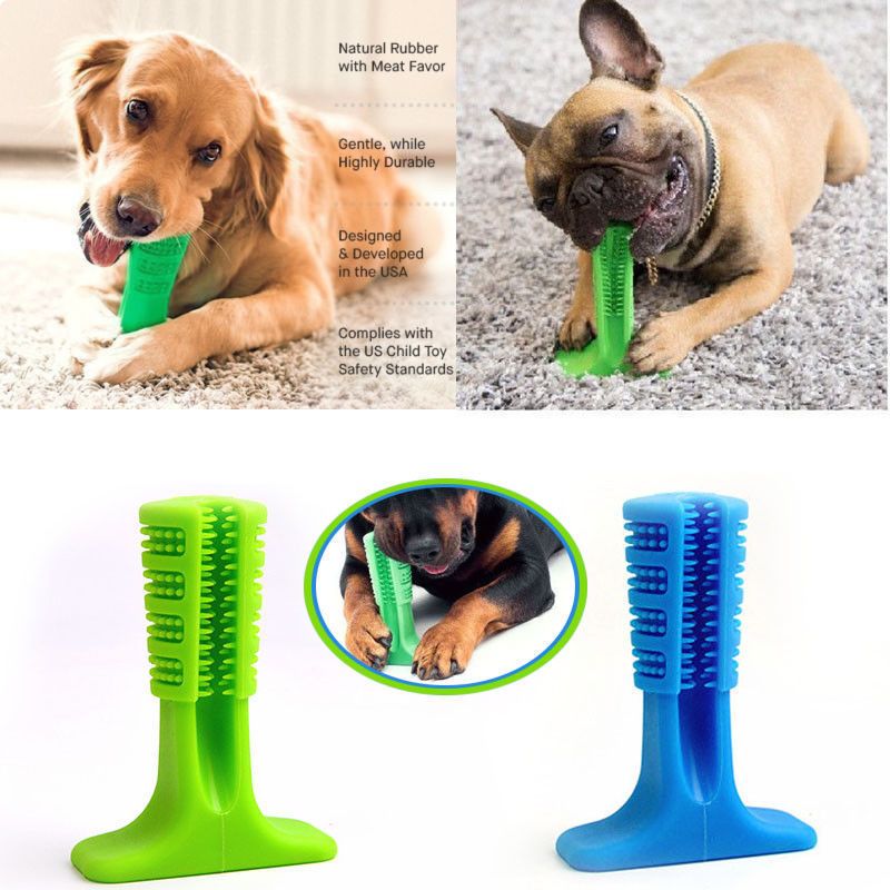 buy dog toothbrush