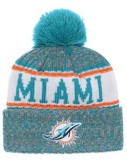 dolphins winter hat