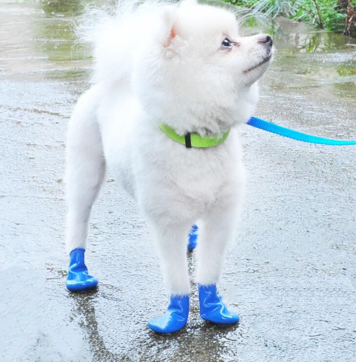 Pequeños Gatos Perros Cachorro Perro Calcetines Botines 4 Piezas Invierno Impermeable Mascota Perro Zapatos Antideslizante Lluvia Calzado Calzado Azul