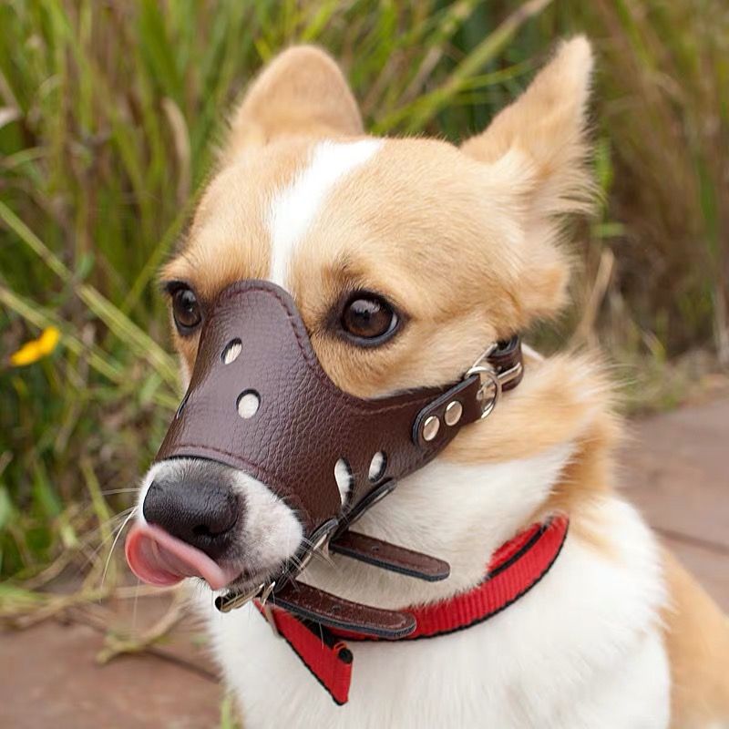 bane dog muzzle for sale
