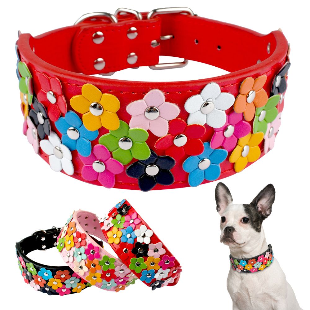 wide dog collars for large dogs