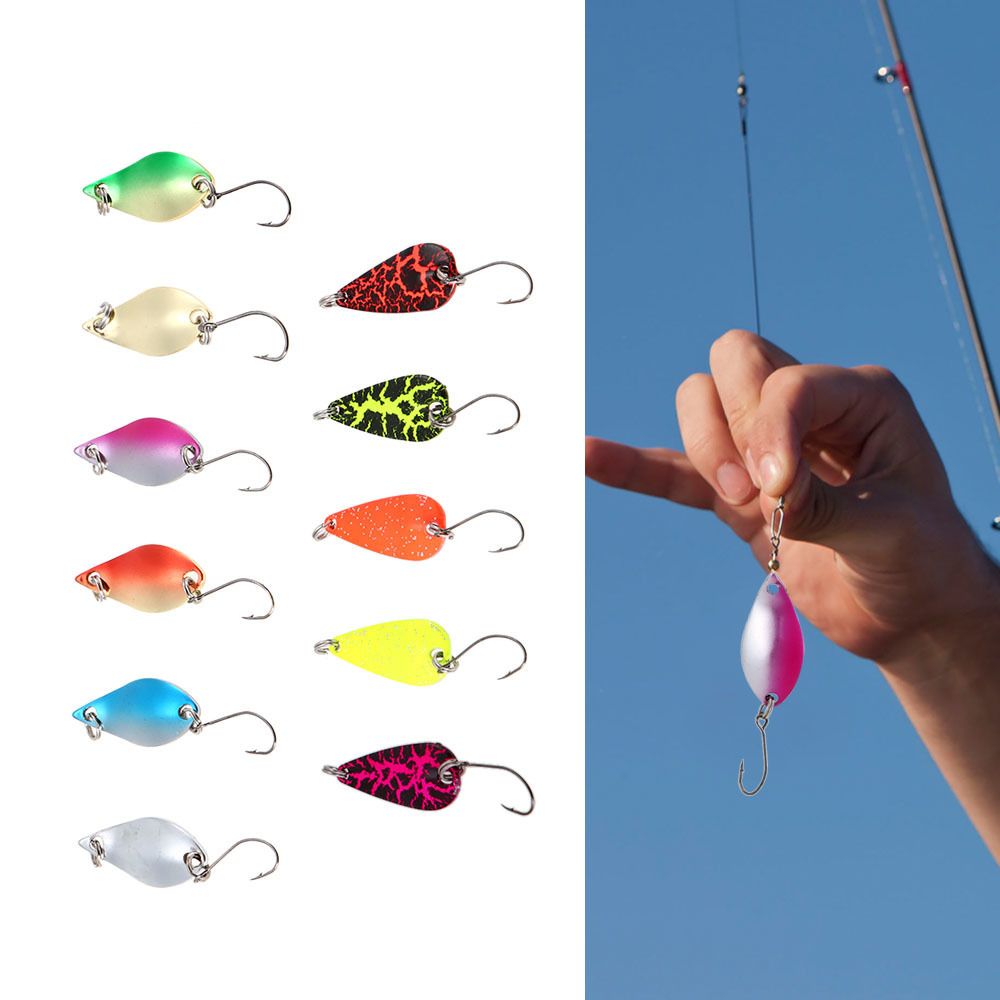 carp fishing tackle set