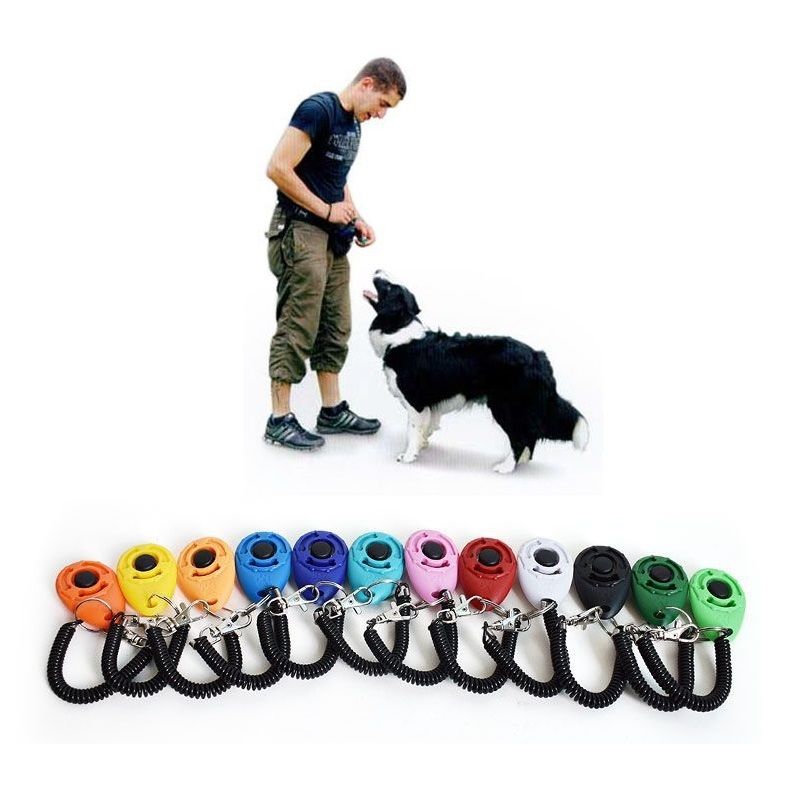 dog training rope