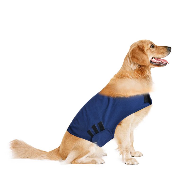 dog anxiety vest