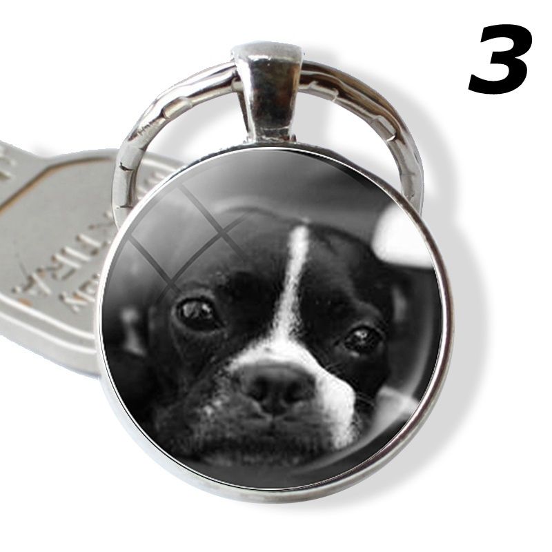 Fetes Occasions Speciales Carte D Anniversaire Pour Garcons Hommes Filles Femmes Unisexe Ou De Boxer Chien Chiot Amant Maison Pokupec Hr Fetes Occasions Speciales Carte D Anniversaire Pour Garcons Hommes Filles Femmes Unisexe Ou De Boxer Chien Chiot Amant Maison Pokupec Hr