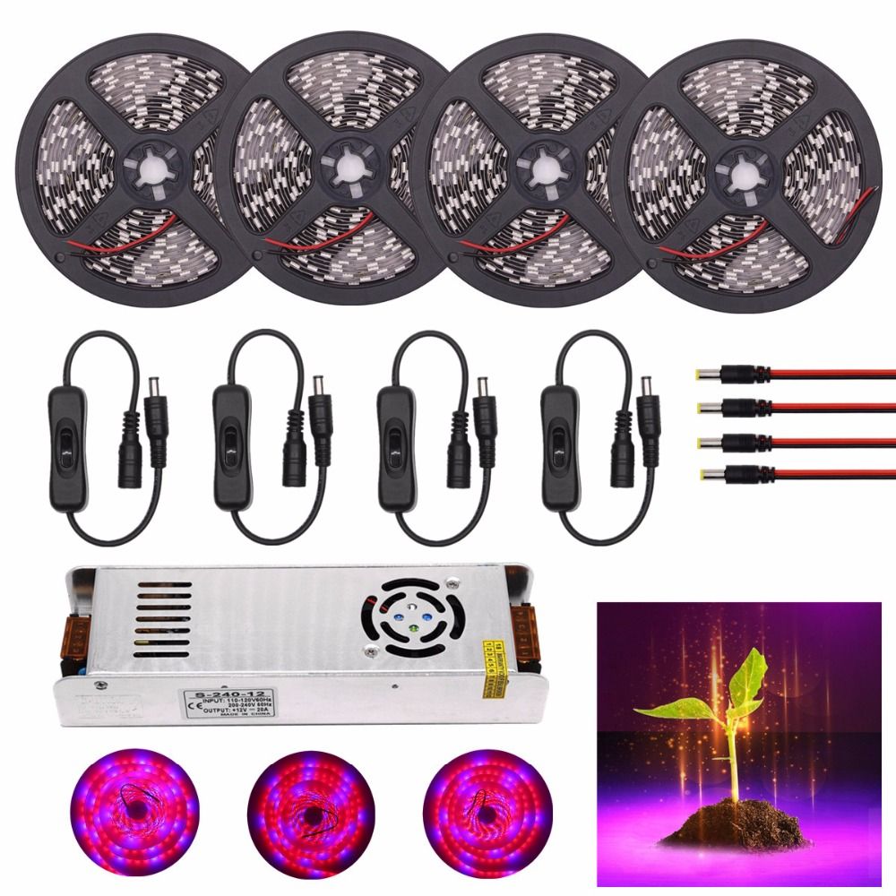DC 12V LED Strip Grow Lights 30M 20M 15M 10M 5M Waterproof LED Plant