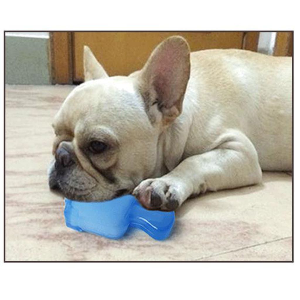 dog popsicle toy