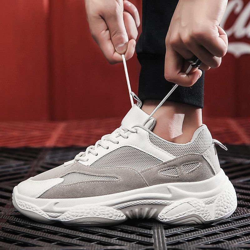 american dad trainers