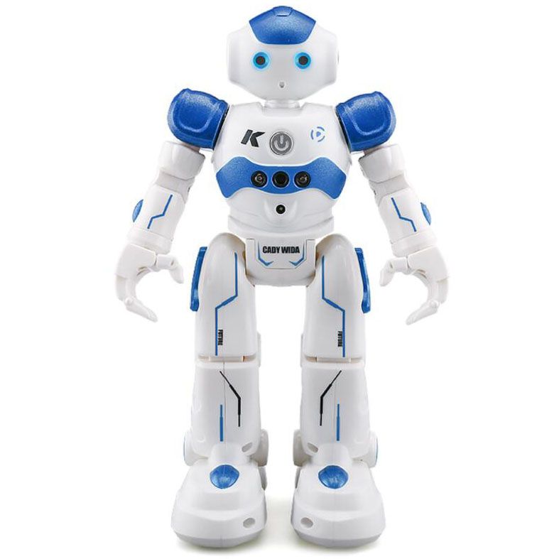 remote control robot online