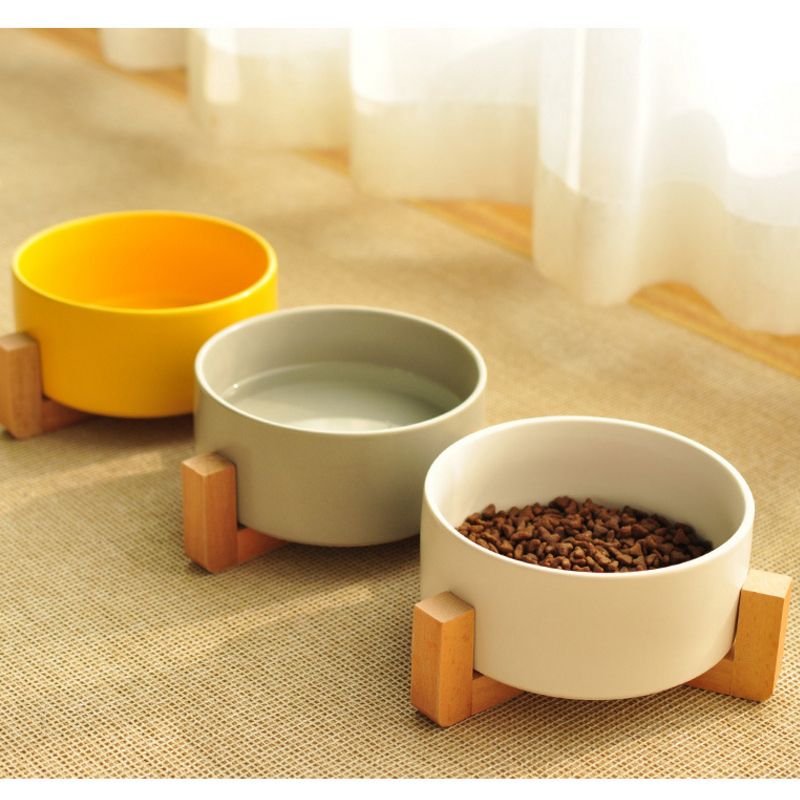 cheapest online pet supplies