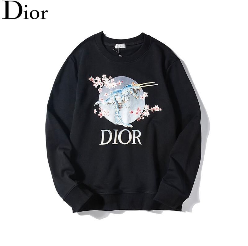 dior dinosaur hoodie
