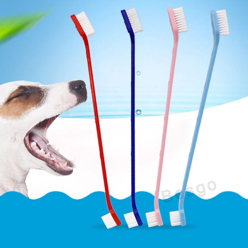 soft dog toothbrush