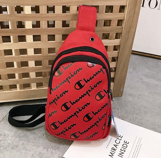 loewe triangle bolsa