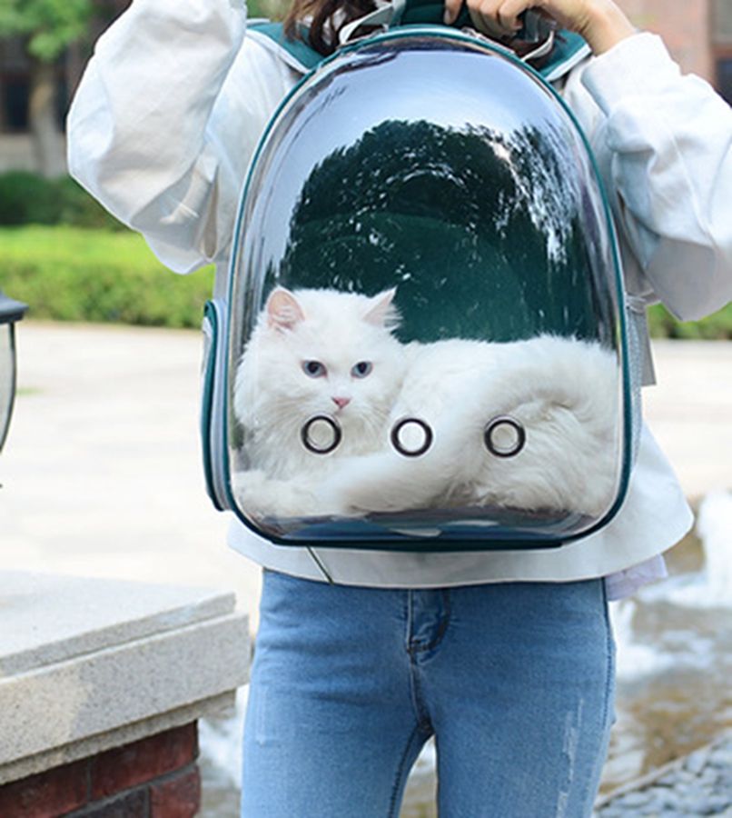 transparent cat bag