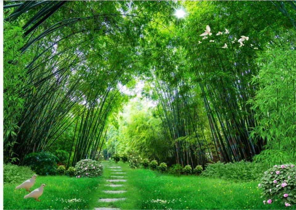 3D bamboo wallpapers forest background wall painting beautiful scenery  wallpapers 3d wallpapers
