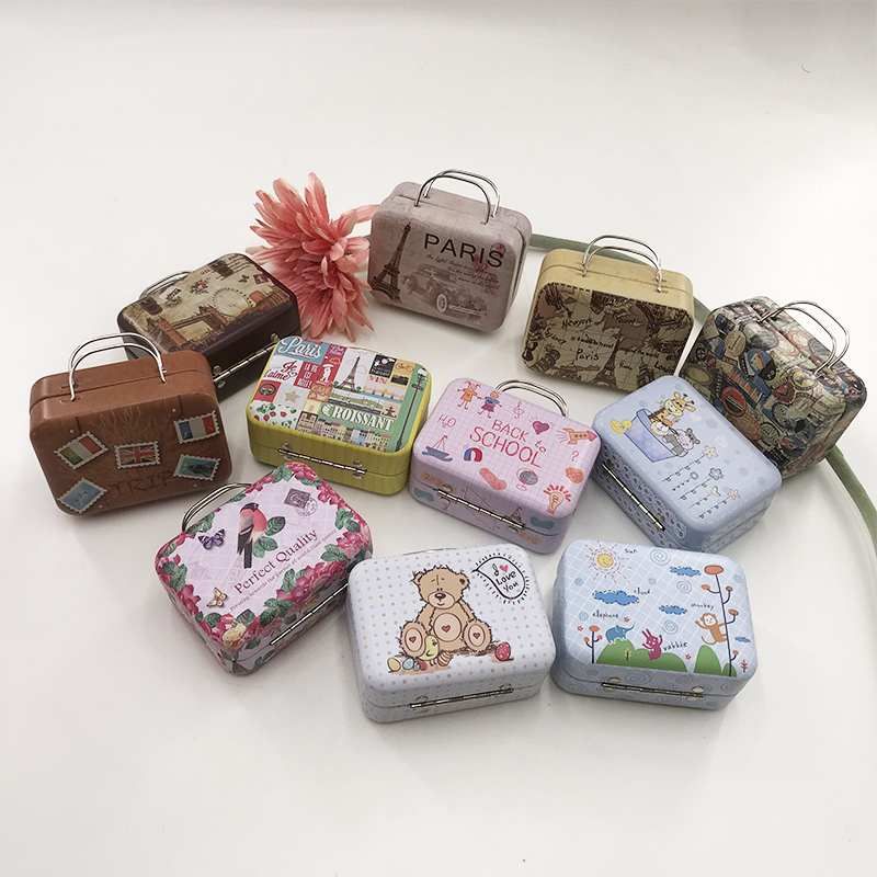 Suitcase Luggage Eyelash Box12