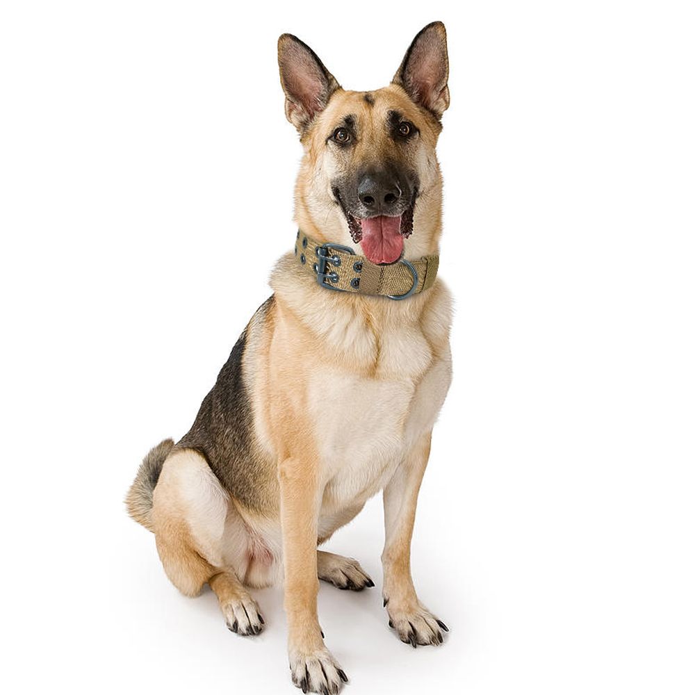 Wide Military Dog Collar Nylon Tactical Dogs Collar Pet Collars With