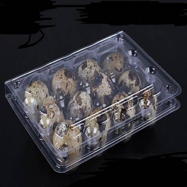 Wholwsale 12 Holes Creative Quail Egg Containers Plastic Egg Boxes