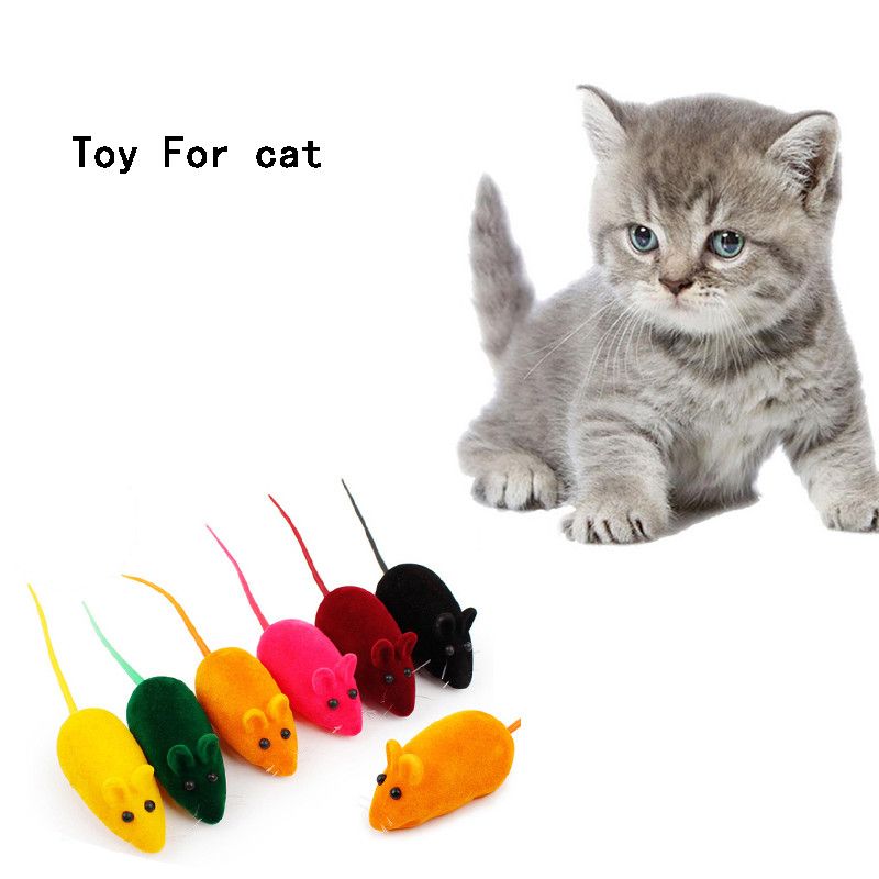 rat cat toy