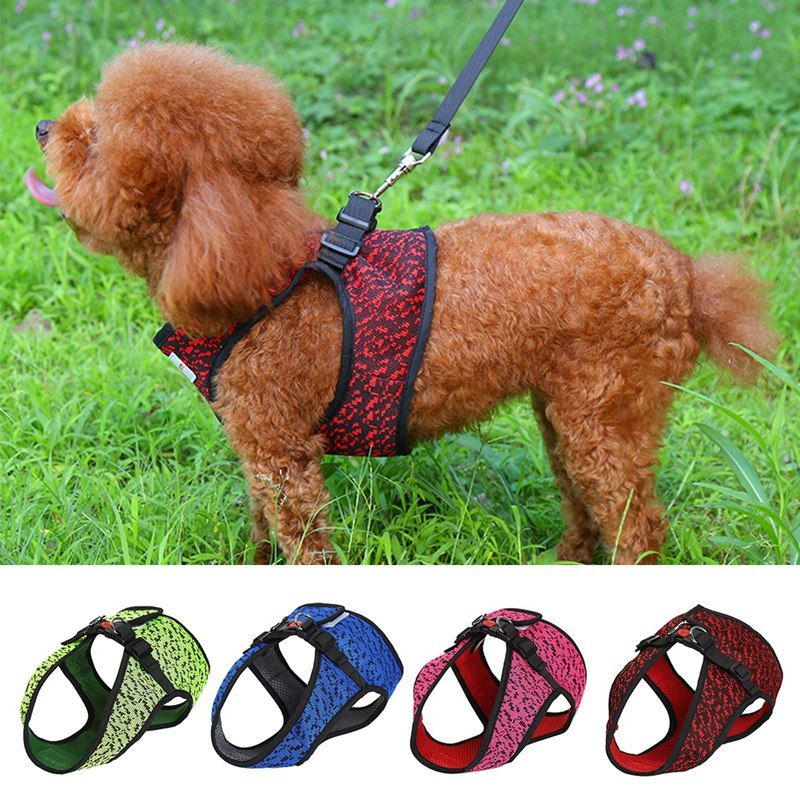 puppy walking harness