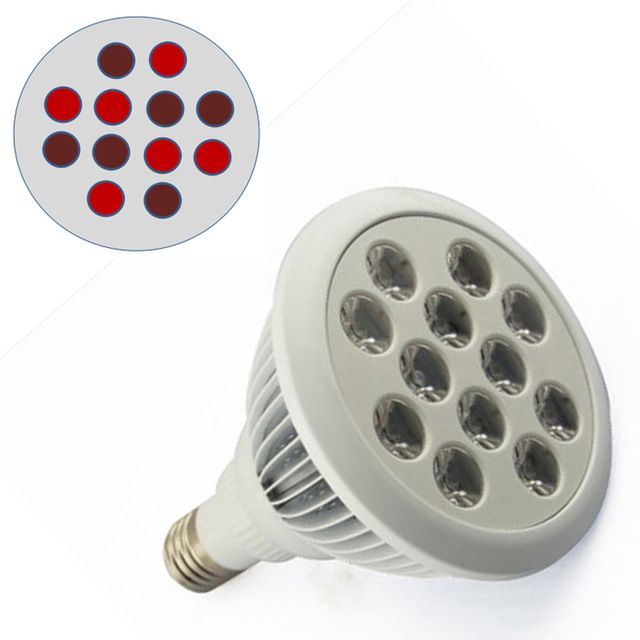24W therapy bulb