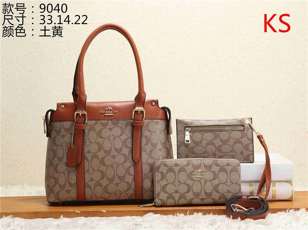 coach clear bag
