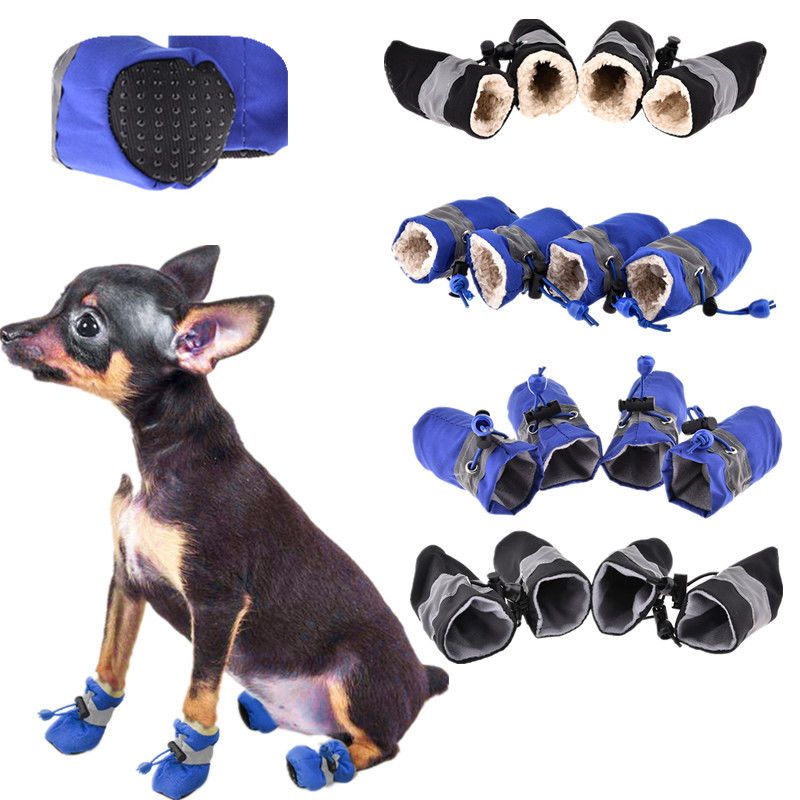 puppy booties